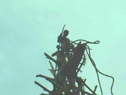 Vanuatu Interlude – Pentecost Land Diving