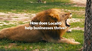 These businesses seized their potential with LocaliQ