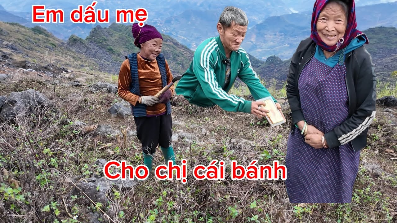 Tình cảm chị em còn hơn vợ chồng,Aly dấu mẹ già cái bánh kẹp vào nách thà nghỉ đói để dành tặng chị.