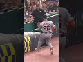 Matt Chapman Crashes Into the Tarp After Making Incredible Basket Catch 🫣 #Baseball #Defense