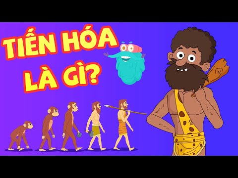 Sự quan trọng của tiến hóa - Hoạt hình khám phá khoa học