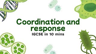 IGCSE Biology Chapter 13 Summary — Coordination and response Explained