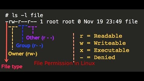 File permissions in Linux 2020 | Beginners guide to Linux