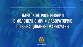 Наркоконтроль выявил в Молодечно мини-лабораторию по выращиванию марихуаны