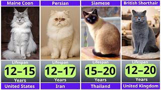 Top 100 Most Popular Cat Breeds and Their Average Lifespans (2026)