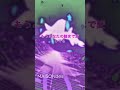 「アイタリナイ feat. yama, ニト。」MAISONdes #shorts #メゾンデ #maisondes #うる星やつら #anime