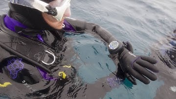 Aqua Lung   i300 Dive Computer