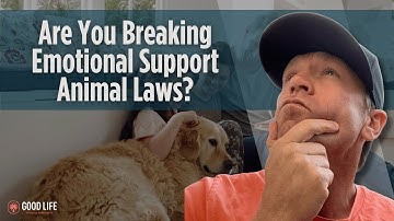 Support Animals vs Service Animals: Essential Rules Landlords Must Know