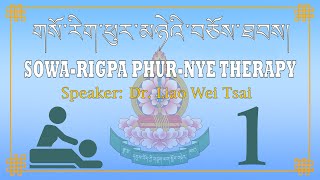 གསོ་རིག་ཕུར་མཉེའི་བཅོས་ཐབས། I  SOWA-RIGPA PHUR-NYE THERAPY-01