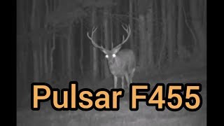 Pulsar F455, Red stags