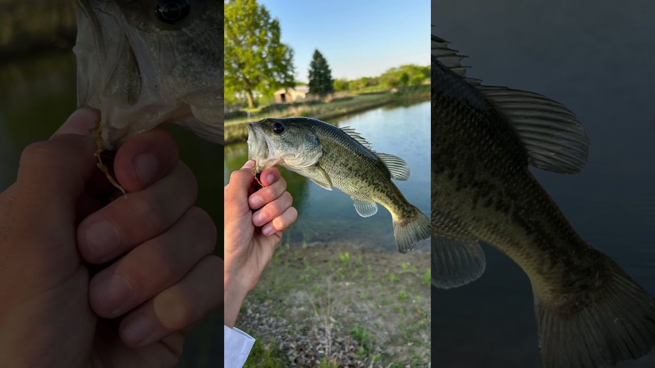 Why is fishing so addictive? 