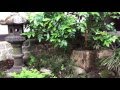My Japanese Garden visit  - Japanese Gardens at Liebenau Zen Monastery in Germany 05/2016