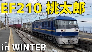 🟦EF210 桃太郎 in Winter