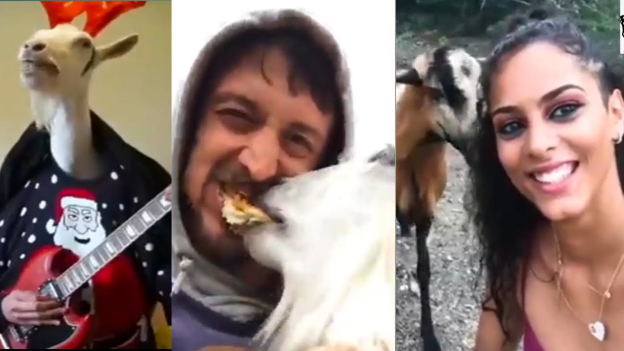 NEW FUNNY VIDEOS ⚡ TRY NOT TO LAUGH Funny Videos compilation - YouTube
