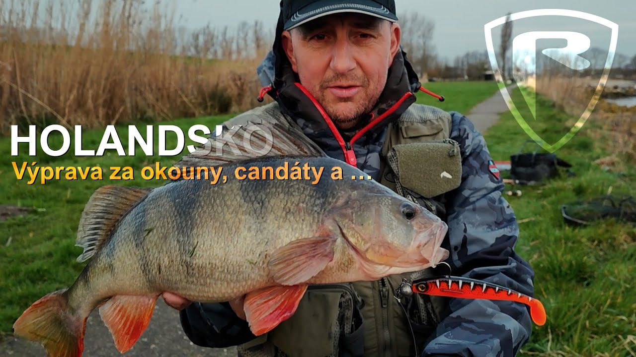 HOLANDSKO – Výprava za okouny, candáty a … | Fox Rage