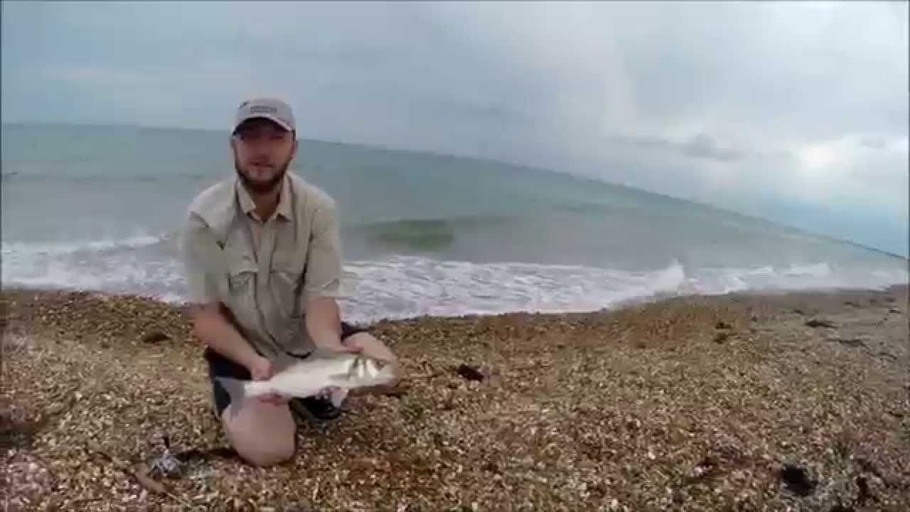 Sea bass caught with ultralight spinning Gopro hero YouTube
