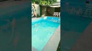 Antes De La Fiesta Con Alberca