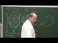 Abdomen et pelvis 7  anatomie de lestomac