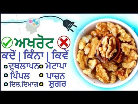 ਅਖਰੋਟ ਕਦੋ ਕਿੰਨਾ ਅਤੇ ਕਿਵੇਂ ਖਾਓ  | how many walnuts should you eat daily