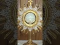 🙏Blessed Sacrament Live 🙏 Jesus, I adore You! 💖Eucharistic Adoration! 🙏