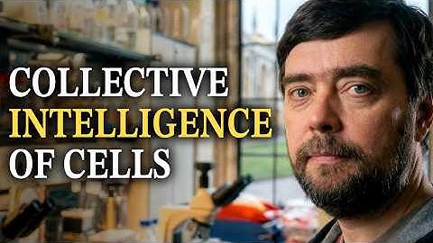 Michael Levin: Consciousness, Biology, Universal Mind, Emergence, Cancer Research