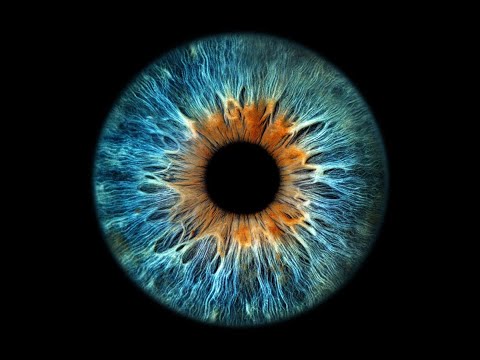 AVELUM - ისტორიული უთავსობანი