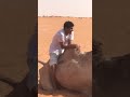 ههههههه بطنيي