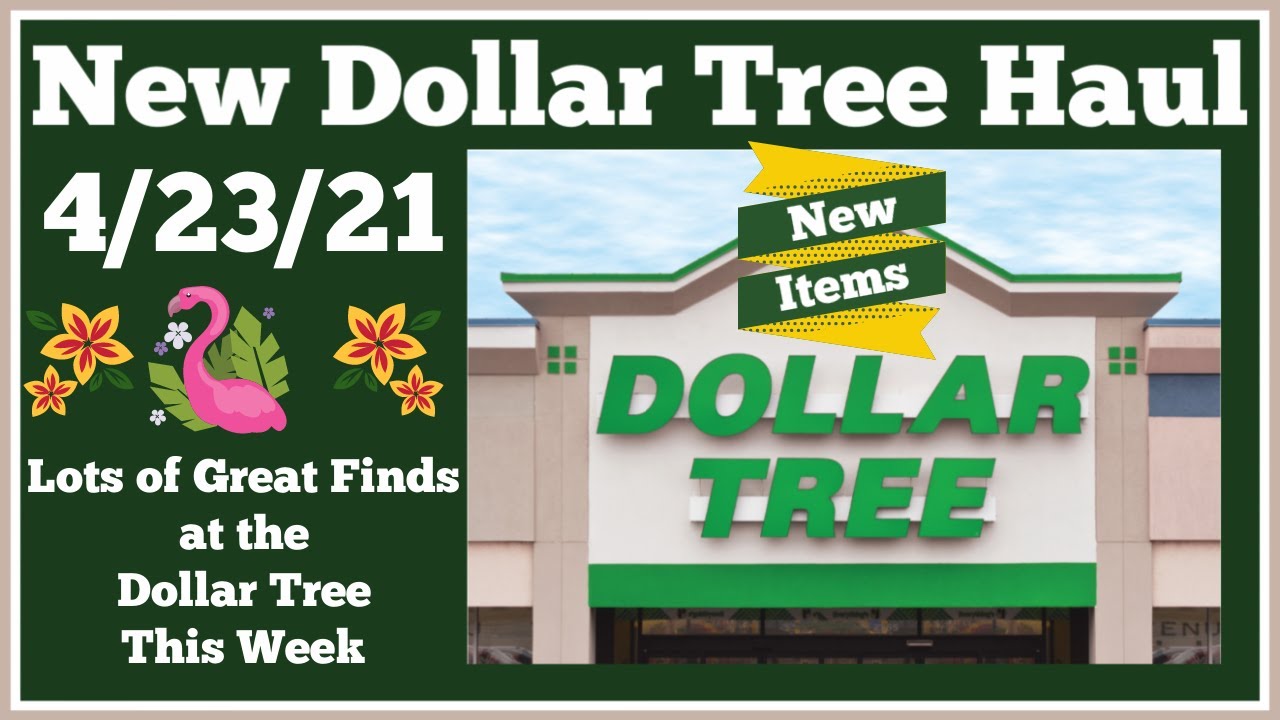 new dollar tree hauls 2021