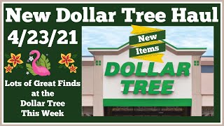 New Dollar Tree Haul ? 4/23/21