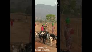 Anchetty Denkanikottai Village Style