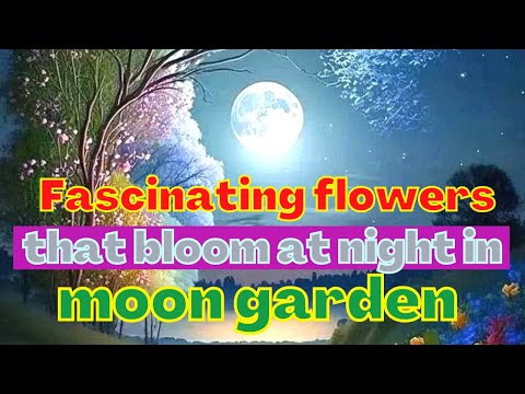 Have These Fascinating Flowers, That Bloom Only At Night In Your Moon Garden