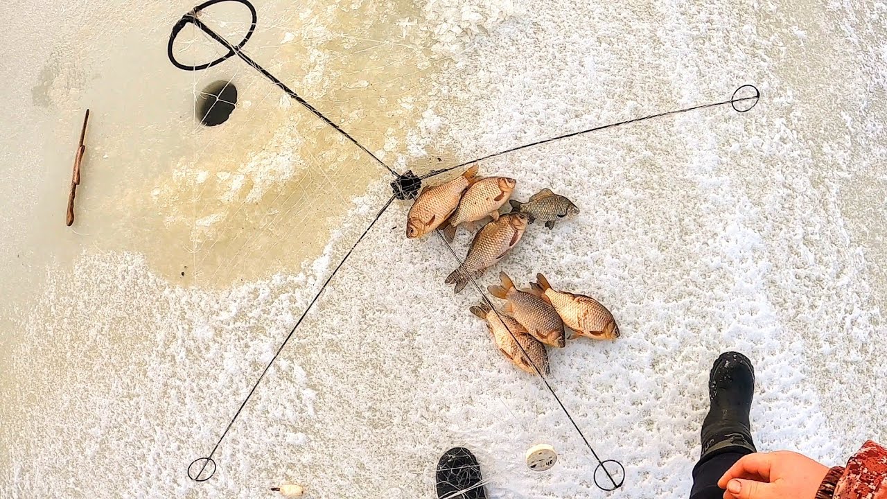 ПОПЛАВКИ СНОВА ПЛЯШУТ!!! РЫБНАЯ ЯМА ПРОДОЛЖАЕТ РАДОВАТЬ! ЩУКА, ОКУНЬ, КАРАСЬ. Рыбалка на хапугу