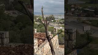 Taş duvar baba nasıl yapılır #kartal12 #inşaat #funny #love #travel #villa #snow #köy #satılık