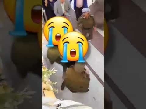 فيديو يوثق اعتداء مليشيا الحوثي على نساء في صالة أعراس بصنعاء