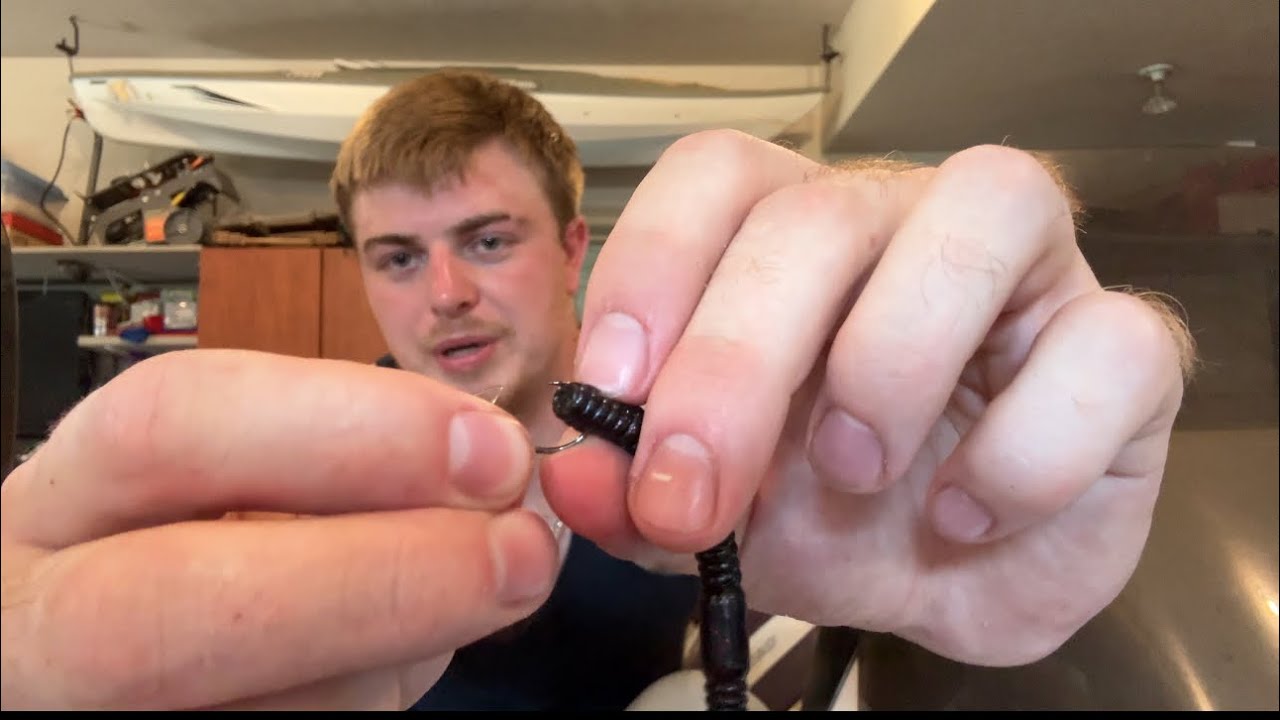 How to tie a drop shot bass fishing rig