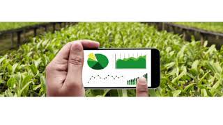 IoT, data analytic & sustainability for future palm oil industry