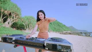 Dj Santri Pekok - Reza Septian ((Official Music Video)