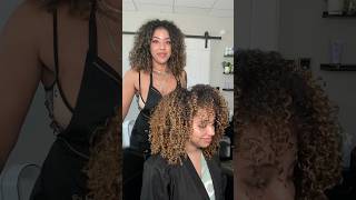 Defining HIGH POROSITY 3C 4A Natural Curls #highlights #curlyhair #curlspecialist