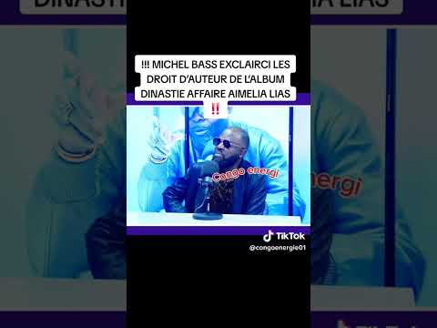 Michel Base Exclairci Affaire Droits D Auteur De Aimelia Lias 