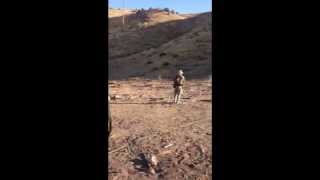 The Brutal Effectiveness Of The 7.62X39 Graphic