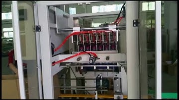 Case packer drop type video