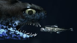 Glow-in-the-Dark Sharks screenshot 5