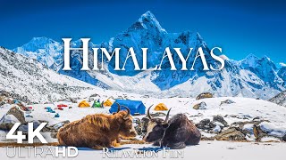 The Himalayas in 4K • Majesty of Everest Peak | Relaxation Film | Nature 4K Ultra HD