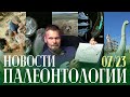 Млекопитающее и динозавр захоронились в бою | Новый огромный кит | Кожа ихтиозавров | Экспедиции