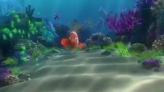 Finding Nemo Marlin Meets Dory