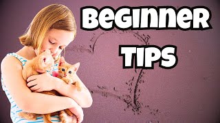 10 Things I Wish I Knew Before Adopting a Cat