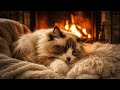 A Cozy Winter Night by the Fire with a Purring Cat for a Sound Sleep, Relaxation and Healing.