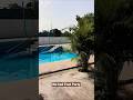 Beautiful Swimming Pool 👌 #swimming #summer #swimmingpool #shorts #viral #pleasesubscribe #viral #yt