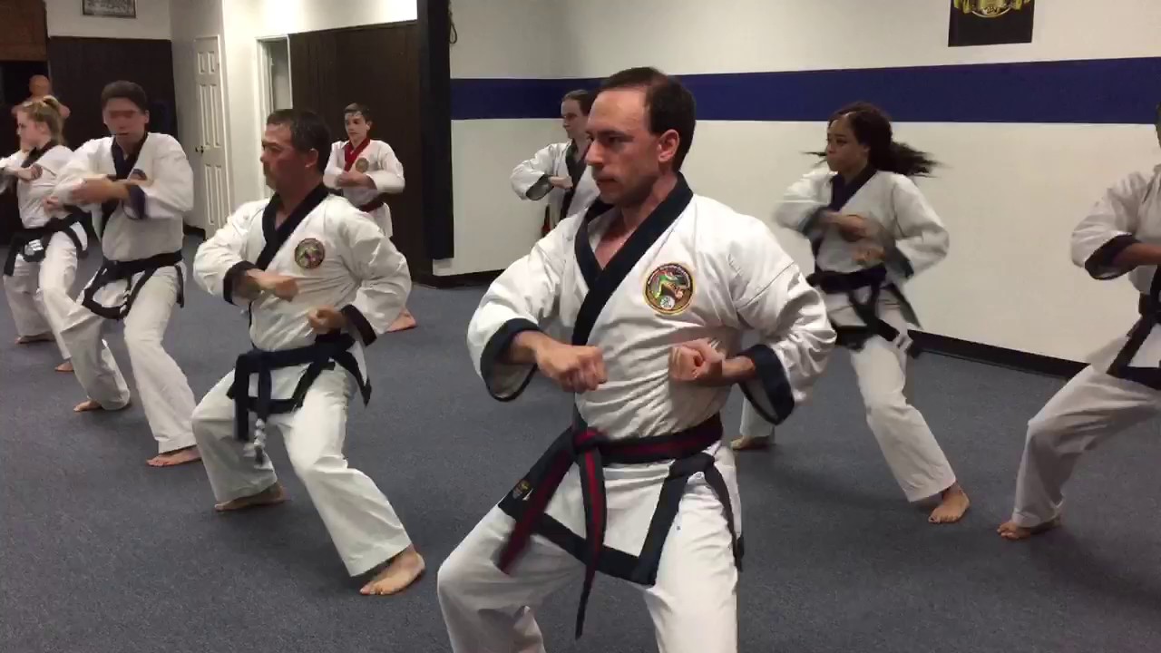 Tang Soo Do   Naihanchi Cho Dan