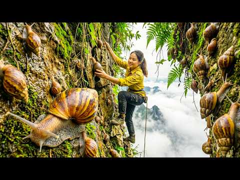 Harvesting 100kg+ Giant Swamp Snails, Selling at Market and Gardening  Homestead Life